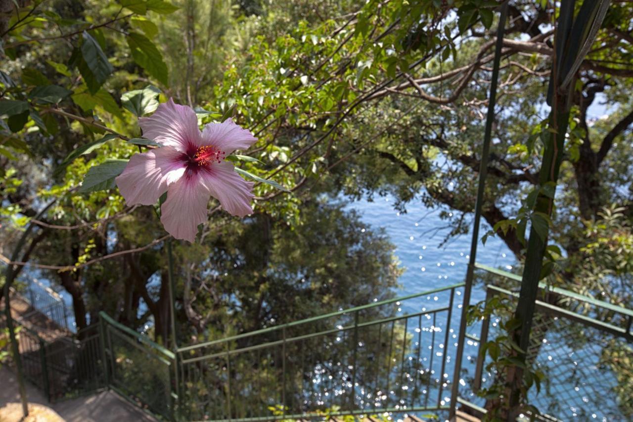 Amore Rentals - Villa Lo Scoglio Positano Zewnętrze zdjęcie