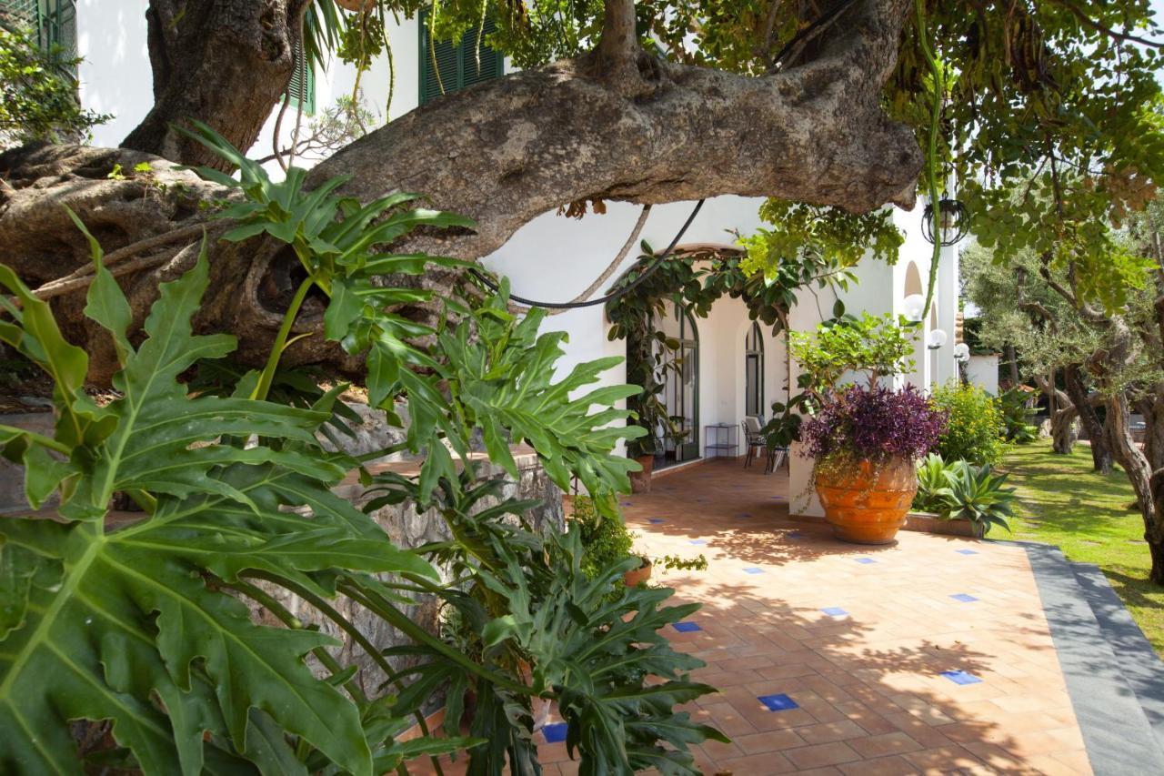 Amore Rentals - Villa Lo Scoglio Positano Zewnętrze zdjęcie
